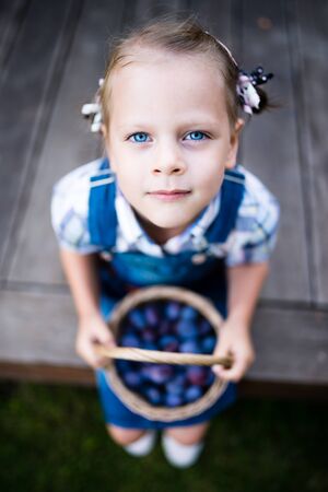 Serious little child girl gardener with basket full of plumsの写真素材