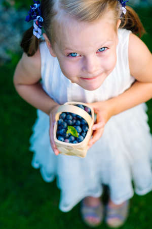 Little girl holding a basket of blueberries - shallow depth of field - top viewの写真素材