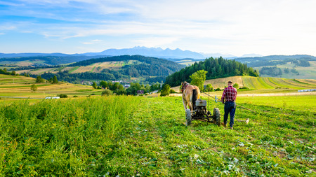 Farmer cultivates the soil with a horse in Pieniny - mountainous areaの写真素材