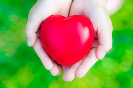 Female hands giving red heart on green background - safety conceptの写真素材