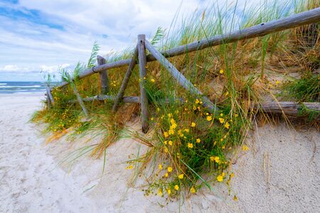 Entrance to beautiful sandy beach in Lubiatowo village, Baltic Seaの写真素材
