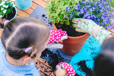 Mother and daughter planting flowers in pots in the garden - concept of working together, spending leisure time with familyの写真素材