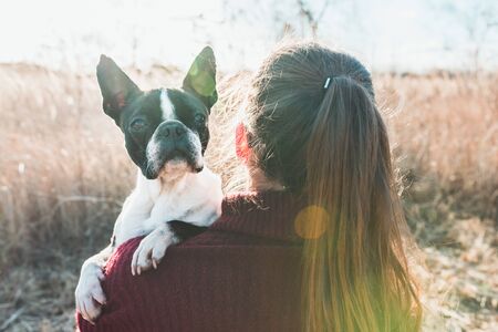 Portrait of girl hugging a puppy boston terrier dog on nature backgroundの写真素材