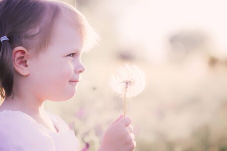 Little toddler girl in a white dress with a dandelion in handの写真素材