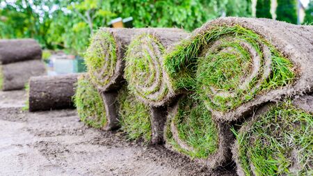 grass rolls prepared for laying in the garden - laying lawn from a roll - sod for new lawnの写真素材