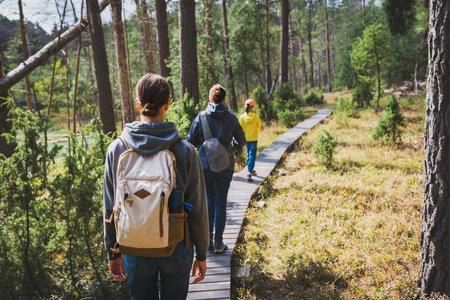 Group of hikers walking on a wooden path in a pine forest.の写真素材