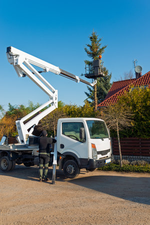Arborist Cutting Tall Spruce Tree with Chainsaw from Elevated Platform Truck in Residential Area on Sunny Dayの写真素材
