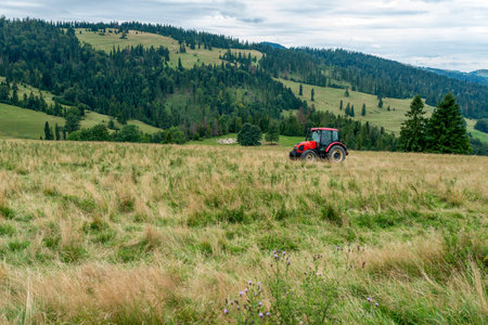 A red farm tractor mowing thistles in a lush, grassy meadow with wildflowers, surrounded by forested hills and a mountain panorama under an overcast skyの写真素材