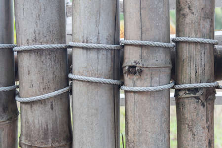 Bamboo fenceの写真素材