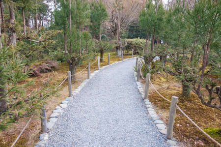 Pathway in the gardenの写真素材
