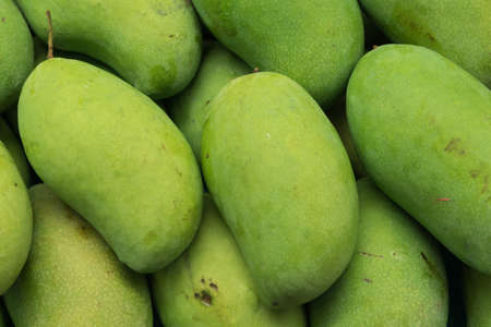 Close up of mangoの写真素材