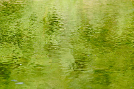 green water reflectionsの写真素材