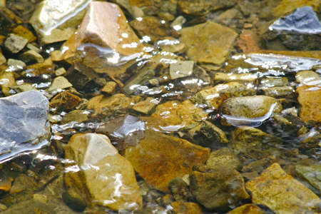 stony stream: water reflections