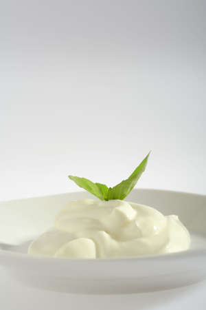 Portion of creme fraiche on plate decorated with  basil's leaves. Side view on bright background with copy space at top of frame.の写真素材