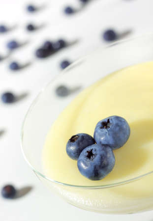 Vanilia pudding in glass with Northern Highbush Blueberry fruits. Close up, oblique shoot.