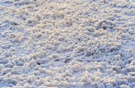 Close up photo of ground coated by coarse hard rime crystalsの写真素材