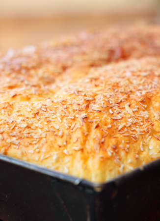 Yeast sponge cake crust close-up with limited depth of field