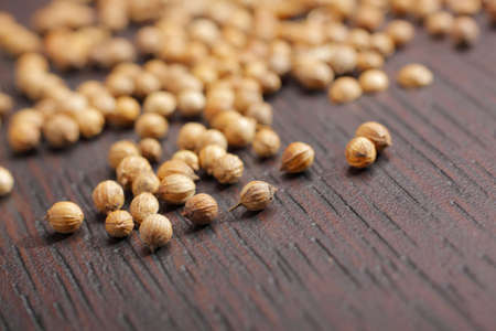 Coriander seeds (Coriandrum sativum) on dark table. Close-up photo.の写真素材
