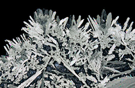 Microscopic view of potassium nitrate crystals. Polarized light, crossed polarizers.
