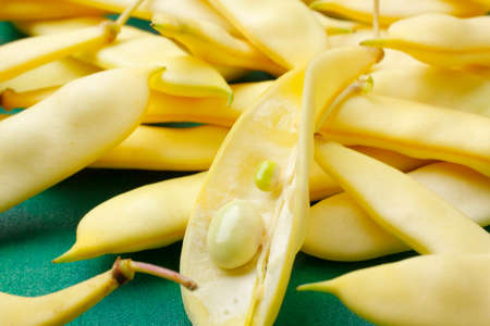 Flat yellow wax beans with one opened bean podの写真素材