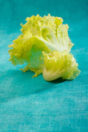 Fresh lettuce leaves on emerald painted textile backgroundの写真素材
