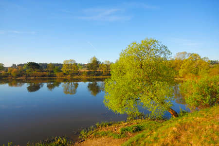 Silent lake with trees on lakeshore. Mojcza lake near Kielce, Poland, The Holy Cross Mountains.