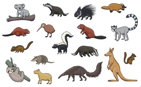 Animal cartoon icons of hunting sport, zoo and wildlife. Vector kangaroo, koala and platypus, kiwi bird, porcupine, badger, beaver and lemur, chipmunk, capybara and sloth, armadillo, skunk, anteaterのイラスト素材