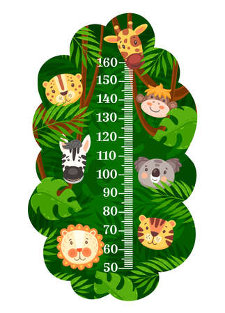 Kids height chart with African tropical cartoon animals vector background. Wall meter ruler scale of growth meter with funny monkey, lion, tiger and giraffe, zebra, jaguar, koala and palm leavesのイラスト素材