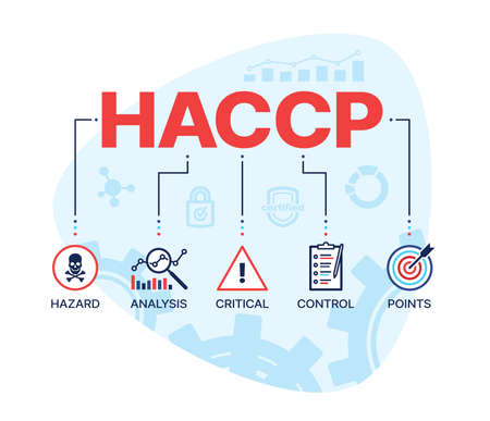 HACCP, hazard analysis and critical control points vector concept. Food safety inspection, compliance of quality standards and hygiene certification diagram with graphs, charts and HACCP symbolsのイラスト素材