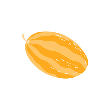 Cantaloup sweet melon isolated flat cartoon icon. Vector muskmelon cantaloup, summer food snack. Whole orange and yellow melon, vegetarian fruit healthy dieting cantaloupe full of vitaminsのイラスト素材