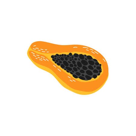 Papaya half cut exotic fruit isolated food dessert flat cartoon style icon. Vector tropical pawpaw, fragrant healthy fruit eating. Babaco hybrid, Asian Thai juicy snack, papaw Carica papaya, eaten rawのイラスト素材