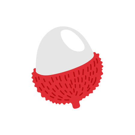 Peeled rambutan or lychee isolated tropical fruit flat cartoon style design. Vector lychee Thai fruit, exotic litchi chinensis, soapberry vegetarian food dessert. Red lychee, subtropical leche snackのイラスト素材