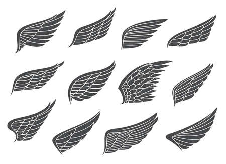 Wing tattoo. Angel, eagle bird spread wings with feathers. Falcon, hawk or pigeon black wings...