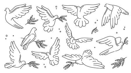 White peace dove and pigeon bird silhouettes. Vector doves with olive branches and leaves thin line symbols of hope, freedom, religion or faith. Outline pigeon birds flying with spread wings, feathersのイラスト素材