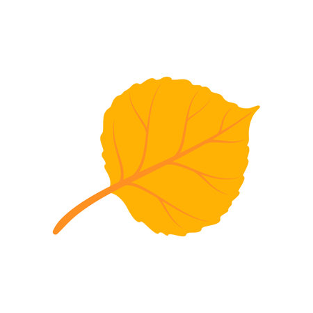 American hornbeam yellow leaf cartoon icon. Vector musclewood leaf, European hornbeam Elm tree element, foliage autumn fall season decorationのイラスト素材