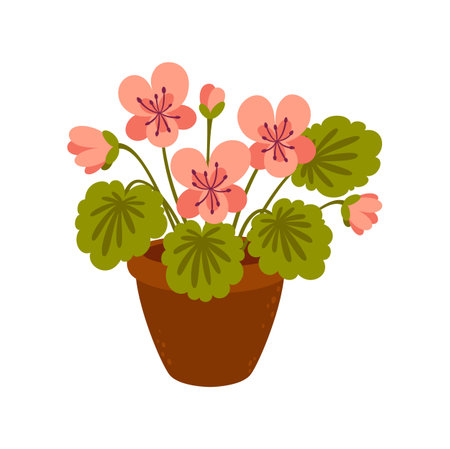 Home flower in pot vector cartoon icon. Vector blooming flowers in flowerpot, floral decoration, pink flowers and green leavesのイラスト素材