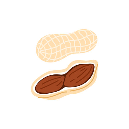 Peanut isolated groundnut, vegetarian food cartoon icon. Vector peanut oil, butter ingredient, unpeeled peanut in husk, superfoodのイラスト素材