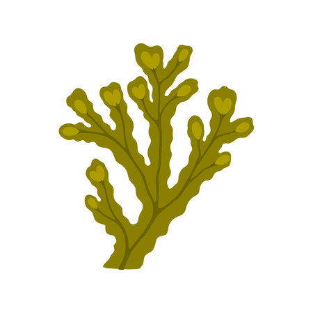 Cartoon green seaweed, branch of underwater aquarium plant, algae. Vector nautical fauna and coral reef object, ocean bottom faunaのイラスト素材
