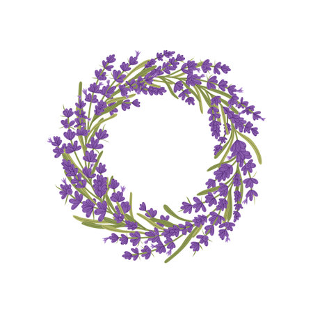 Lavender flowers wreath floral decorative frame of kitchen herb. Vector purple flowers with bracts, flowering plant scented violet buds borderのイラスト素材