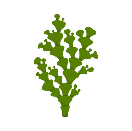Soft sea fan aquatic plant, green branch. Vector underwater polyp growing in deep sea waters, undersea environment object. Coral aquarium seaweedのイラスト素材