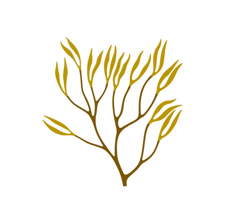 Yellow seaweed, sea bottom decoration, branch of underwater plant. Vector cartoon aquarium soft plant, undersea fauna natural anemone seaweedのイラスト素材