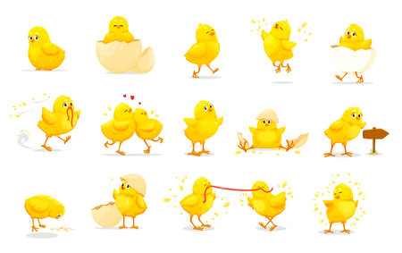 Cartoon chick characters of cute baby chickens. Little yellow farm bird vector personages with egg shells, worms and grains. Fluffy chicks hatching, sitting, running and eating, jumping and walkingのイラスト素材