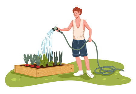 Cheerful farmer character watering vegetables in garden bed. Cartoon gardener vector personage working at farm or garden. Happy young man watering plants with garden hose, agriculture or farming themeのイラスト素材