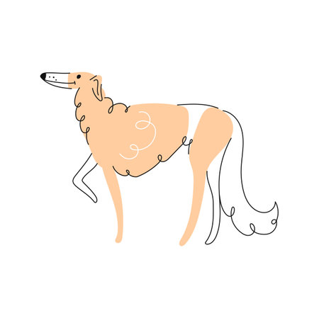 Afghan hound dog doodle, cartoon puppy character. Vector Borzoi puppy funny pet animal, smiling funny canine adorable dog portraitのイラスト素材