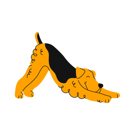Stretching airedale terrier, cartoon dog animal, cute puppy character. Vector funny pet animal, smiling canine, adorable terrierのイラスト素材