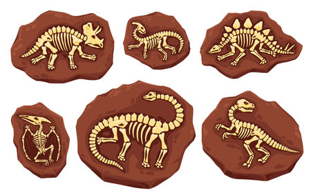 Dino fossil skeletons. Ancient dinosaur imprints in stone. Vector layers of earth with full body bones. Archaeological and paleontological excavations. Studies of prehistoric creatures and animalsのイラスト素材