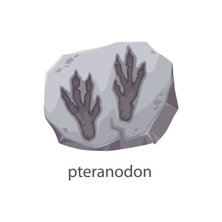 Dinosaur footprint fossil, archeology stone with dino foot silhouette, cartoon vector. Pteranodon dinosaur foot print with claws, ancient extinct lizard or reptile footprint track in fossil rock stoneのイラスト素材