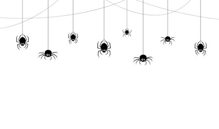 Halloween spiders border. Vector holiday frame with black funny arachnid characters hanging on strings down the tangled cobwebs. Monochrome spinner personages and spiderwebs on white backgroundのイラスト素材