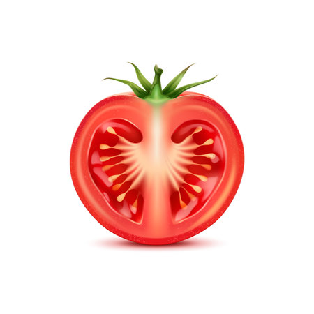 Raw realistic red ripe tomato half slice, isolated cherry vegetable, its juicy interior glistening with seeds, revealing the succulent texture. 3d vector fresh plant promise a burst of sweet flavorのイラスト素材
