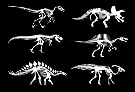 Dinosaur fossil skeletons and Jurassic dino bones imprints, vector white silhouettes. Dinosaur archeology fossil skeletons of extinct reptile, T-rex tyrannosaurus or velociraptor and stegosaurus bonesのイラスト素材